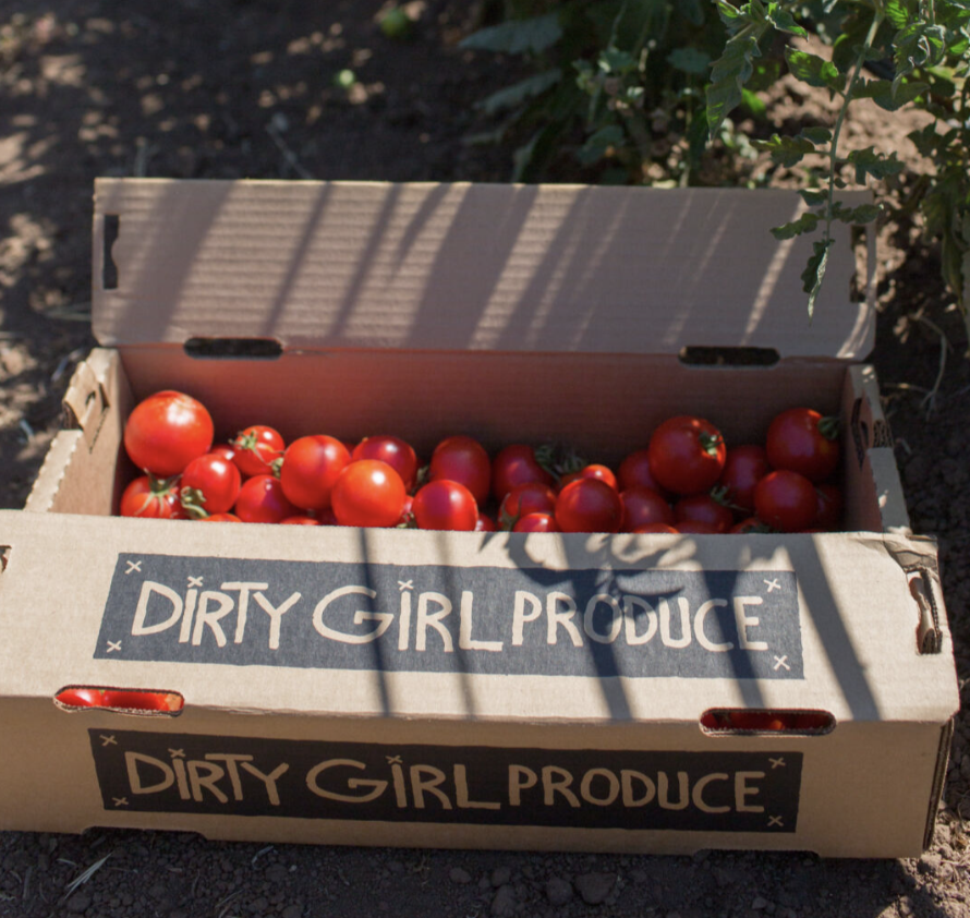 dry farmed tomatoes at lazy acres market