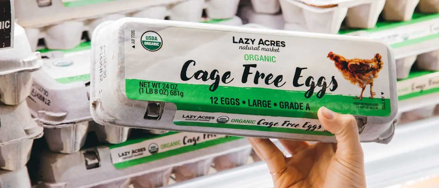 Carton of cage free eggs