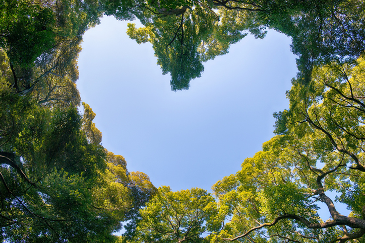 Sustainability in Action: Celebrating Earth Day Every Day