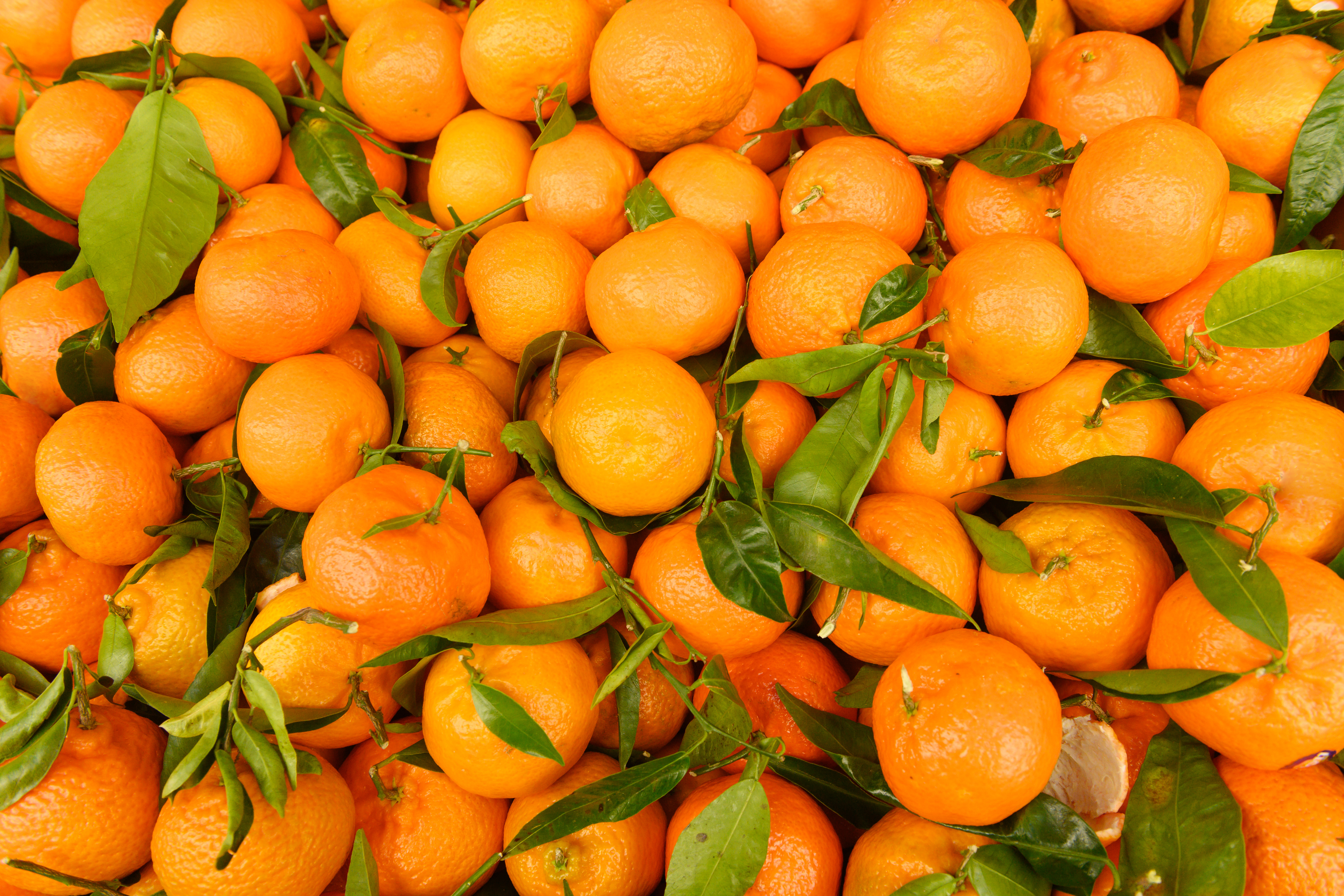 stem and leaf mandarins 