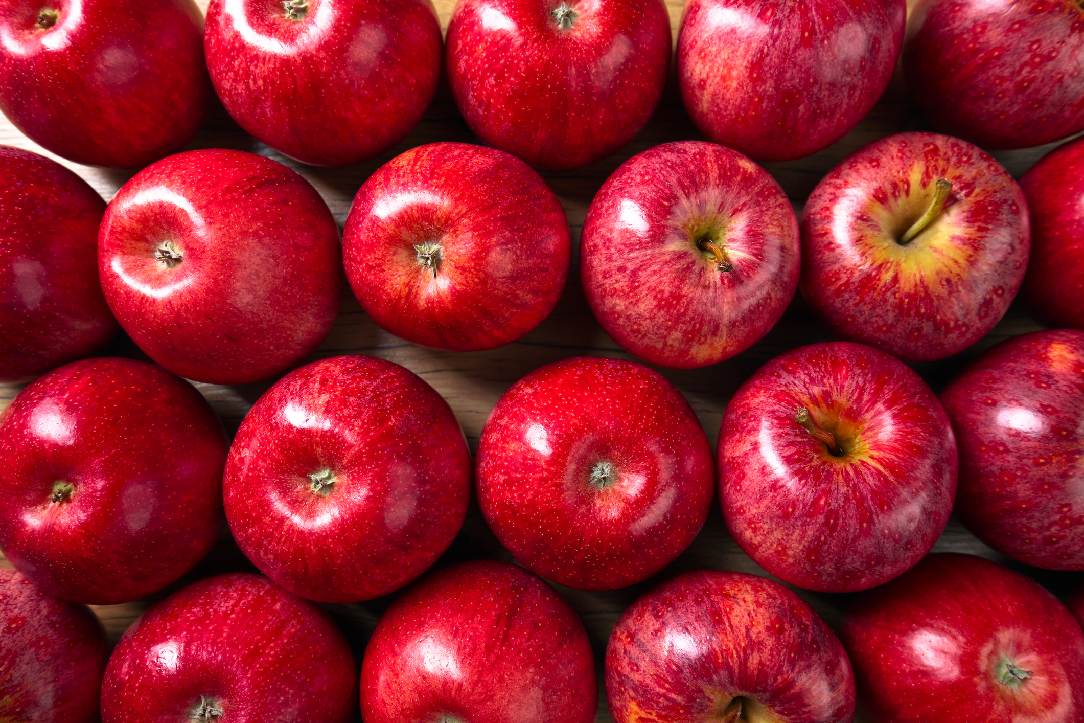  organic cosmic crisp apples on sale at lazy acres market 